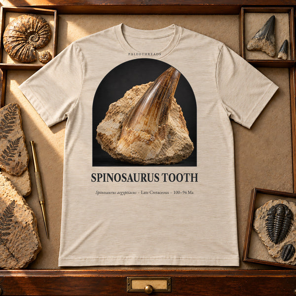 Spinosaurus Tooth Specimen T-Shirt — Plate 174