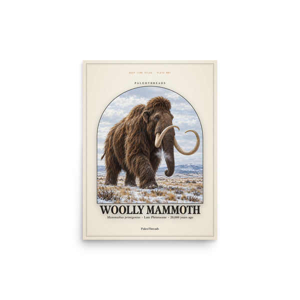 Woolly Mammoth Steppe Poster — Plate 007