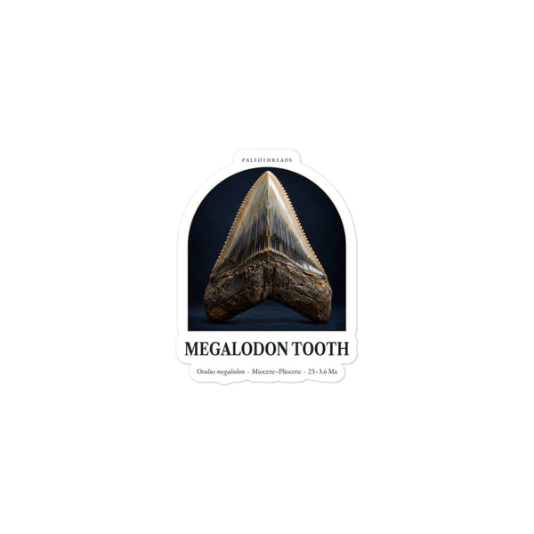Megalodon Tooth Specimen Sticker — Plate 173