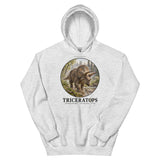 Triceratops Morning Mist Hoodie — Plate 003
