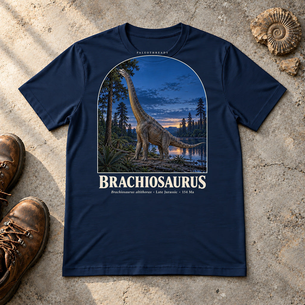Brachiosaurus t-shirt flat lay – navy PaleoThreads paleo art tee with hiking boots and an ammonite