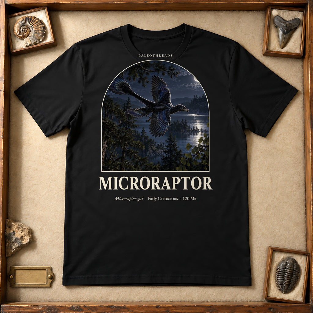 Microraptor t-shirt flat lay – black PaleoThreads paleo art tee in a museum fossil drawer