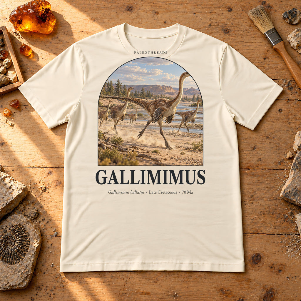 Gallimimus t-shirt flat lay – soft cream PaleoThreads paleo art tee on a fossil prep bench with amber