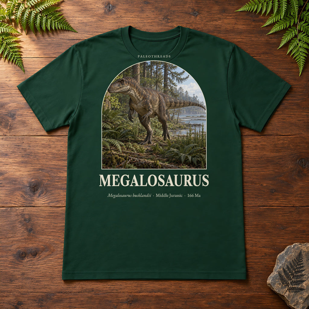 Megalosaurus t-shirt flat lay – forest PaleoThreads paleo art tee on a walnut field desk with ferns