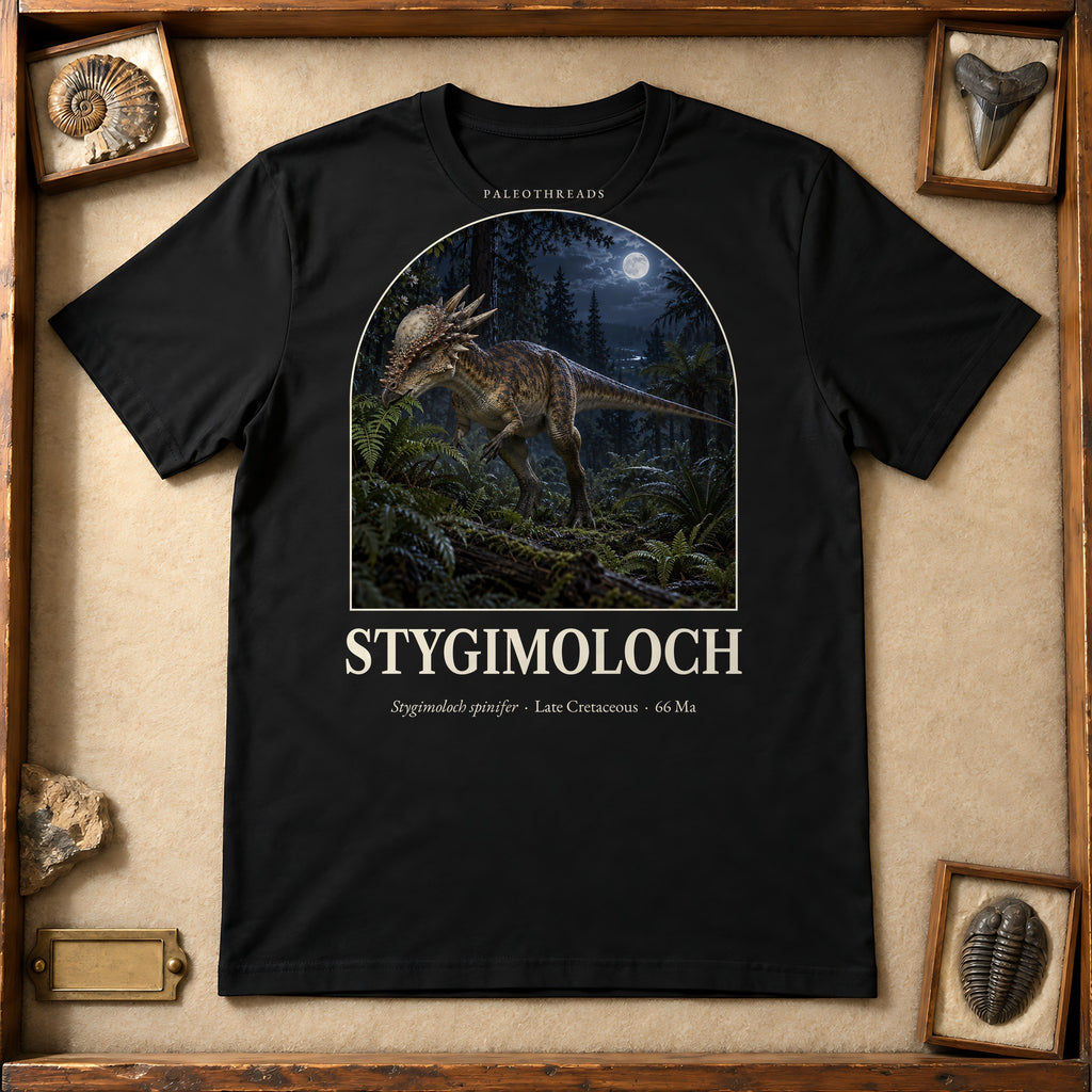 Stygimoloch t-shirt flat lay – black PaleoThreads paleo art tee in a museum fossil drawer