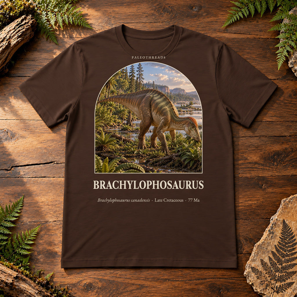 Brachylophosaurus t-shirt flat lay – brown PaleoThreads paleo art tee on a walnut field desk with ferns
