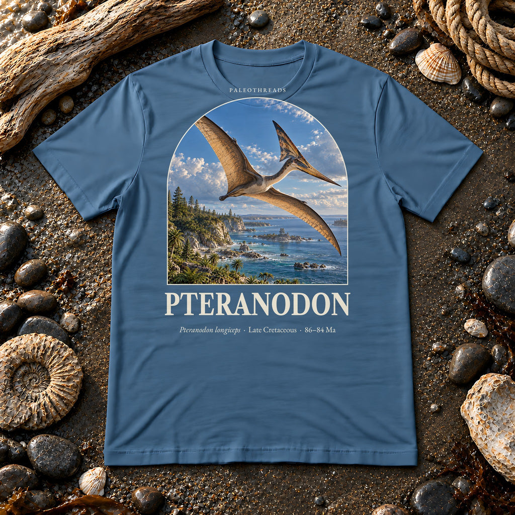 Pteranodon t-shirt flat lay – steel blue PaleoThreads paleo art tee on a fossil beach with driftwood