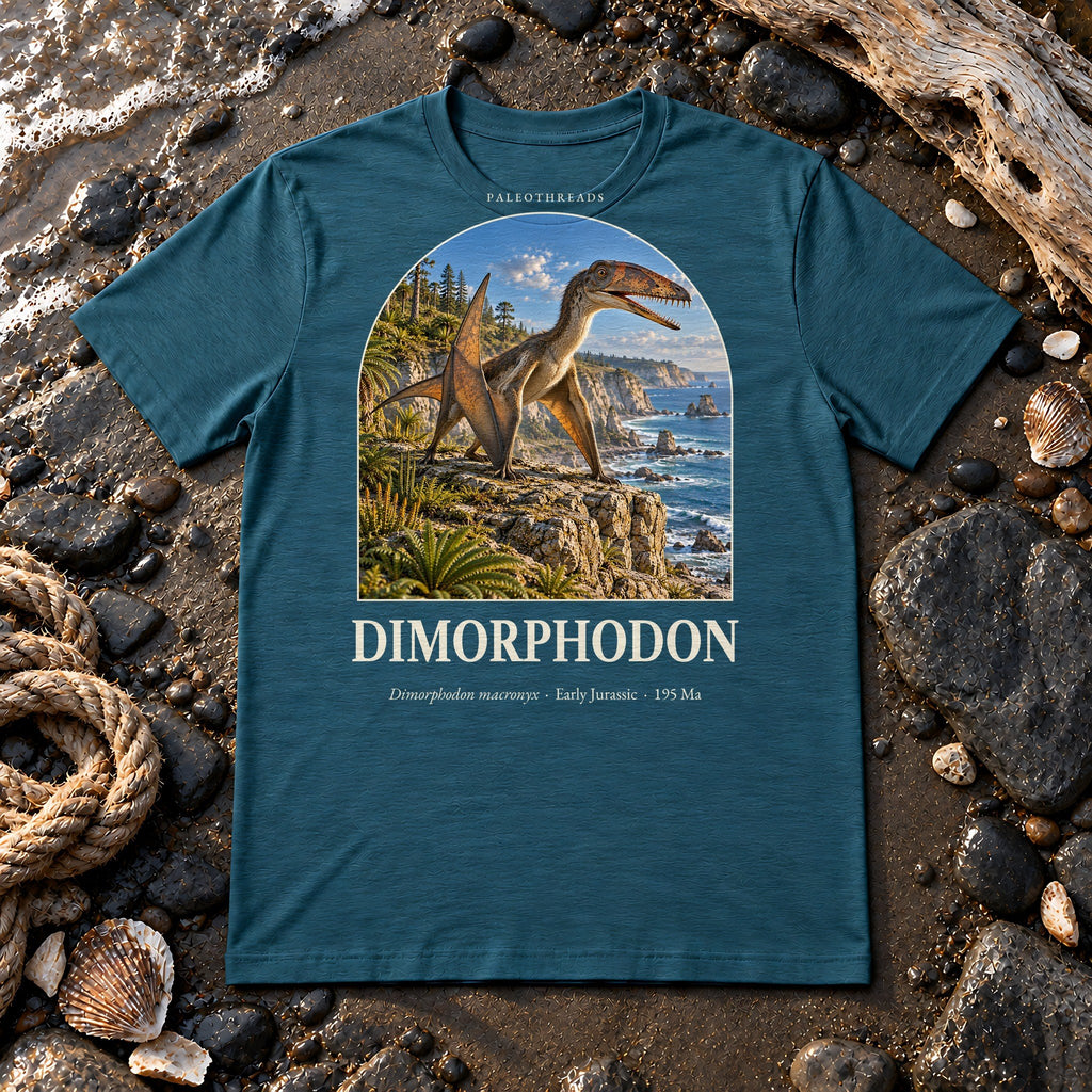 Dimorphodon t-shirt flat lay – heather deep teal PaleoThreads paleo art tee on a fossil beach with driftwood