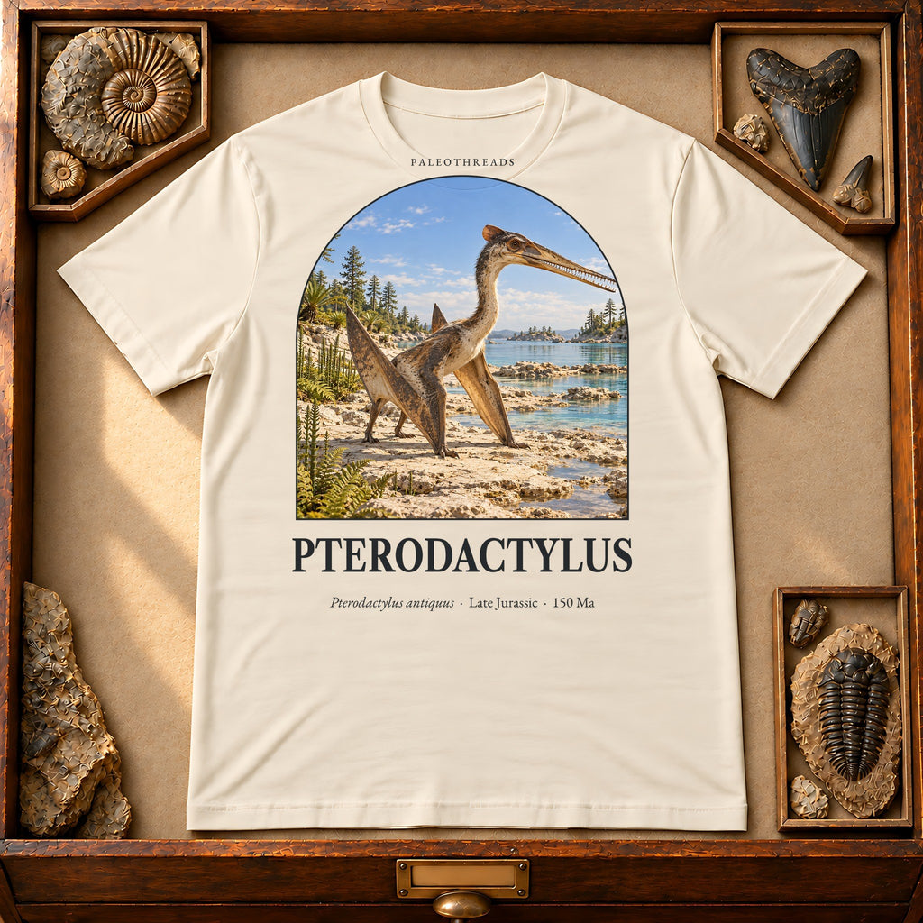 Pterodactylus t-shirt flat lay – soft cream PaleoThreads paleo art tee in a museum fossil drawer
