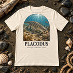 Placodus t-shirt flat lay – natural PaleoThreads paleo art tee on a fossil beach with driftwood