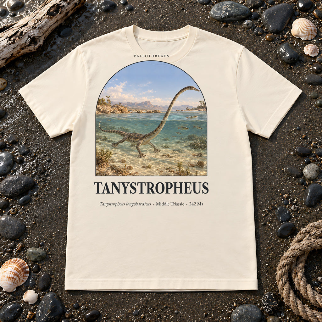 Tanystropheus t-shirt flat lay – soft cream PaleoThreads paleo art tee on a fossil beach with driftwood