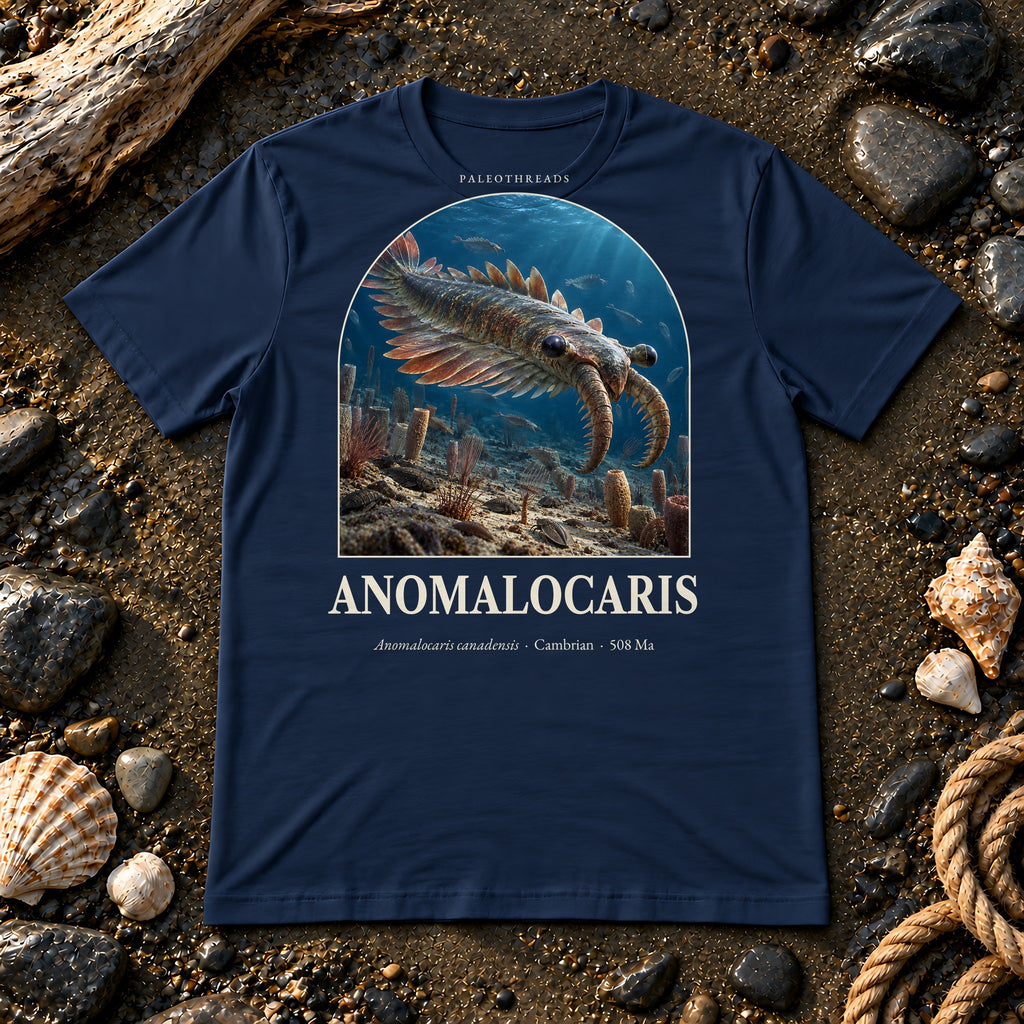 Anomalocaris t-shirt flat lay – navy PaleoThreads paleo art tee on a fossil beach with driftwood