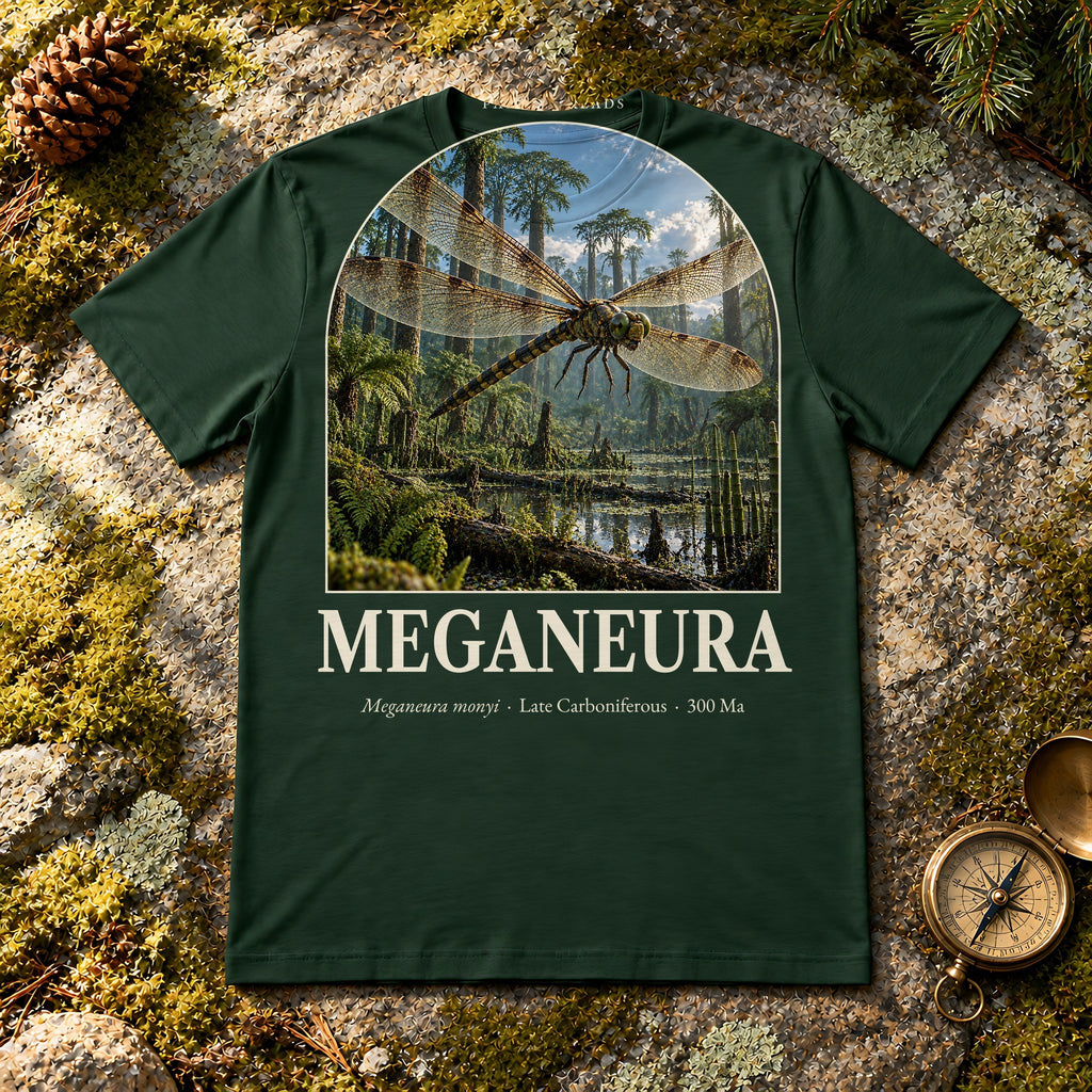 Meganeura t-shirt flat lay – forest PaleoThreads paleo art tee on mossy rock with a brass compass