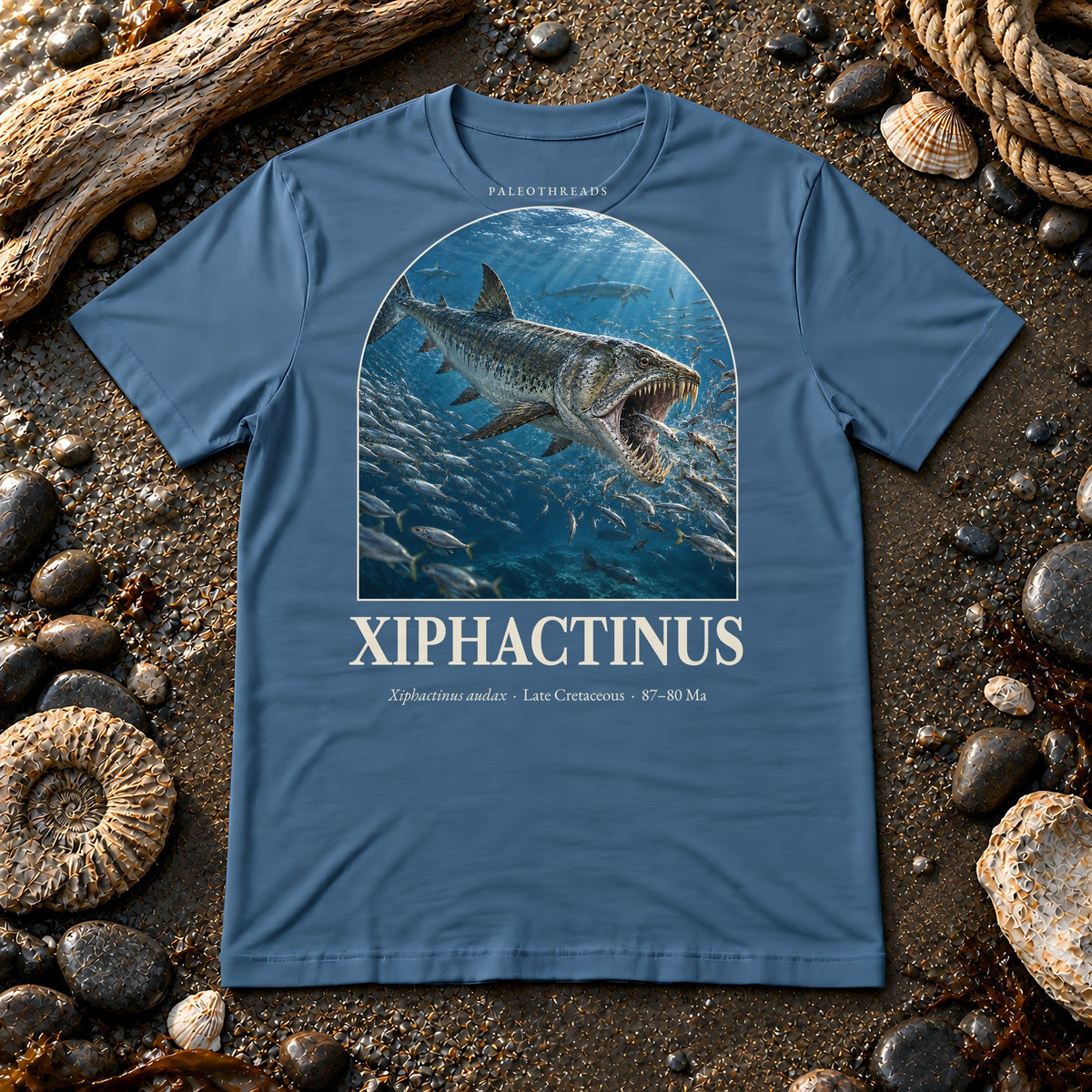 Xiphactinus t-shirt flat lay – steel blue PaleoThreads paleo art tee on a fossil beach with driftwood