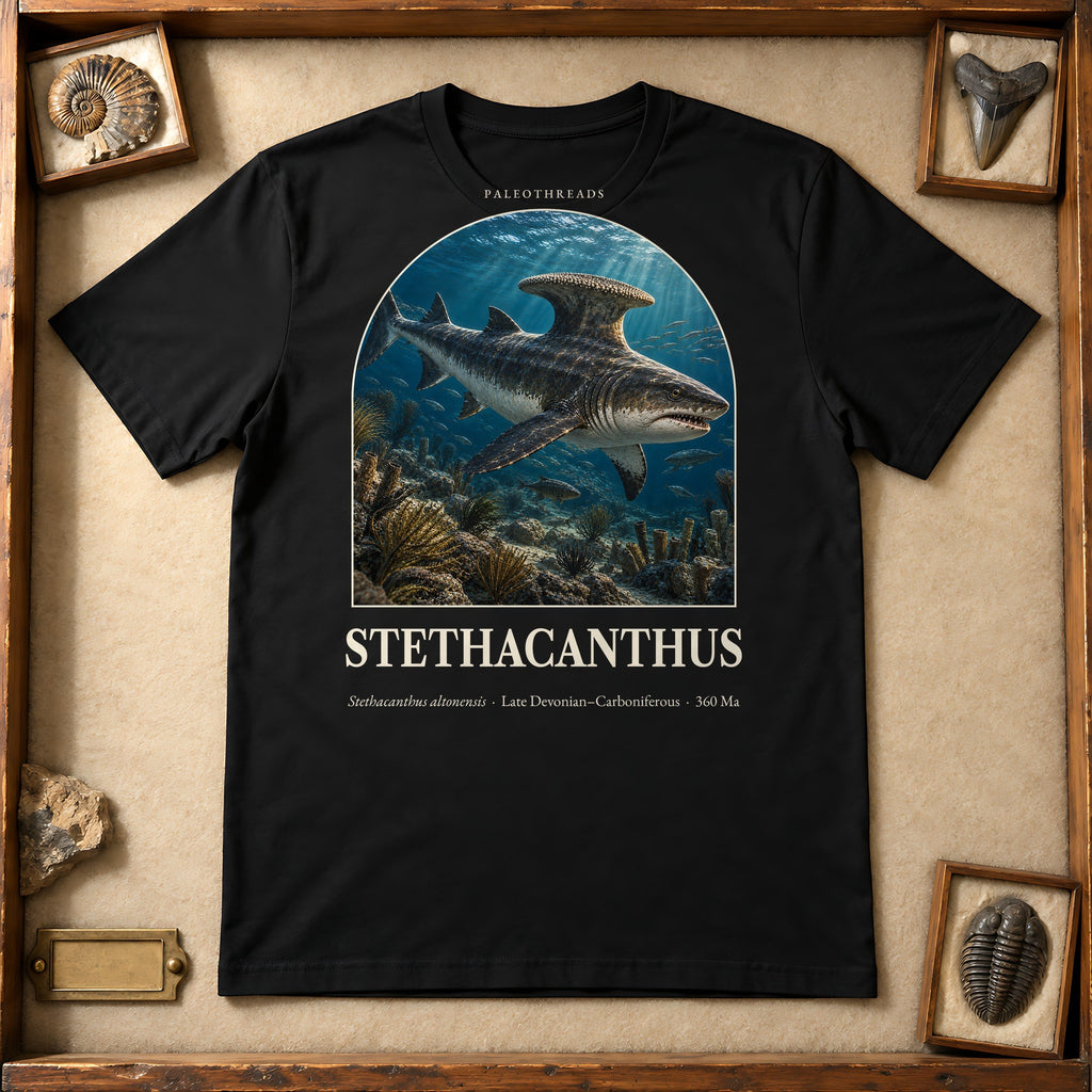 Stethacanthus t-shirt flat lay – black PaleoThreads paleo art tee in a museum fossil drawer