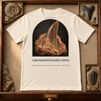 Carcharodontosaurus Tooth t-shirt flat lay – natural PaleoThreads paleo art tee in a museum fossil drawer