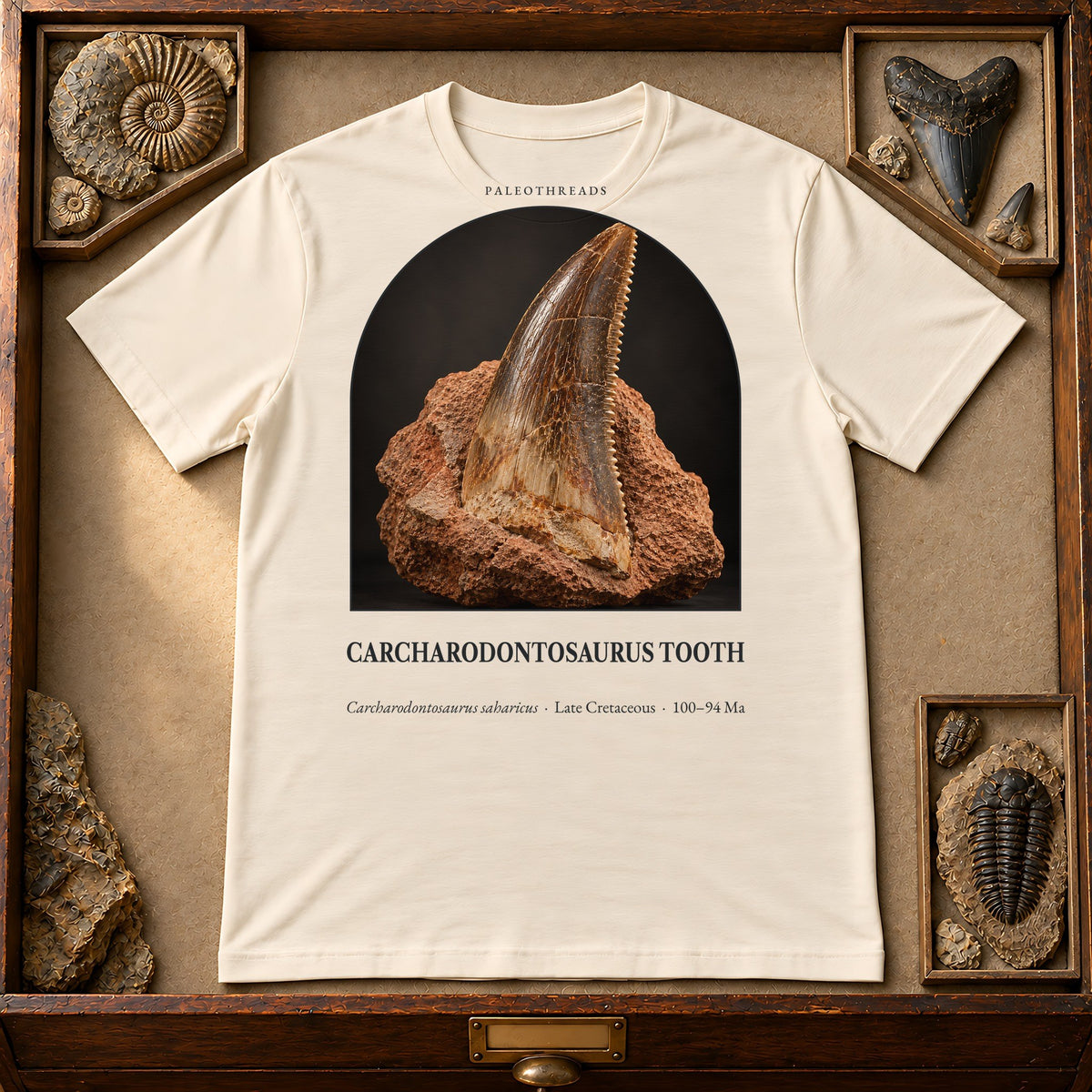 Carcharodontosaurus Tooth t-shirt flat lay – natural PaleoThreads paleo art tee in a museum fossil drawer