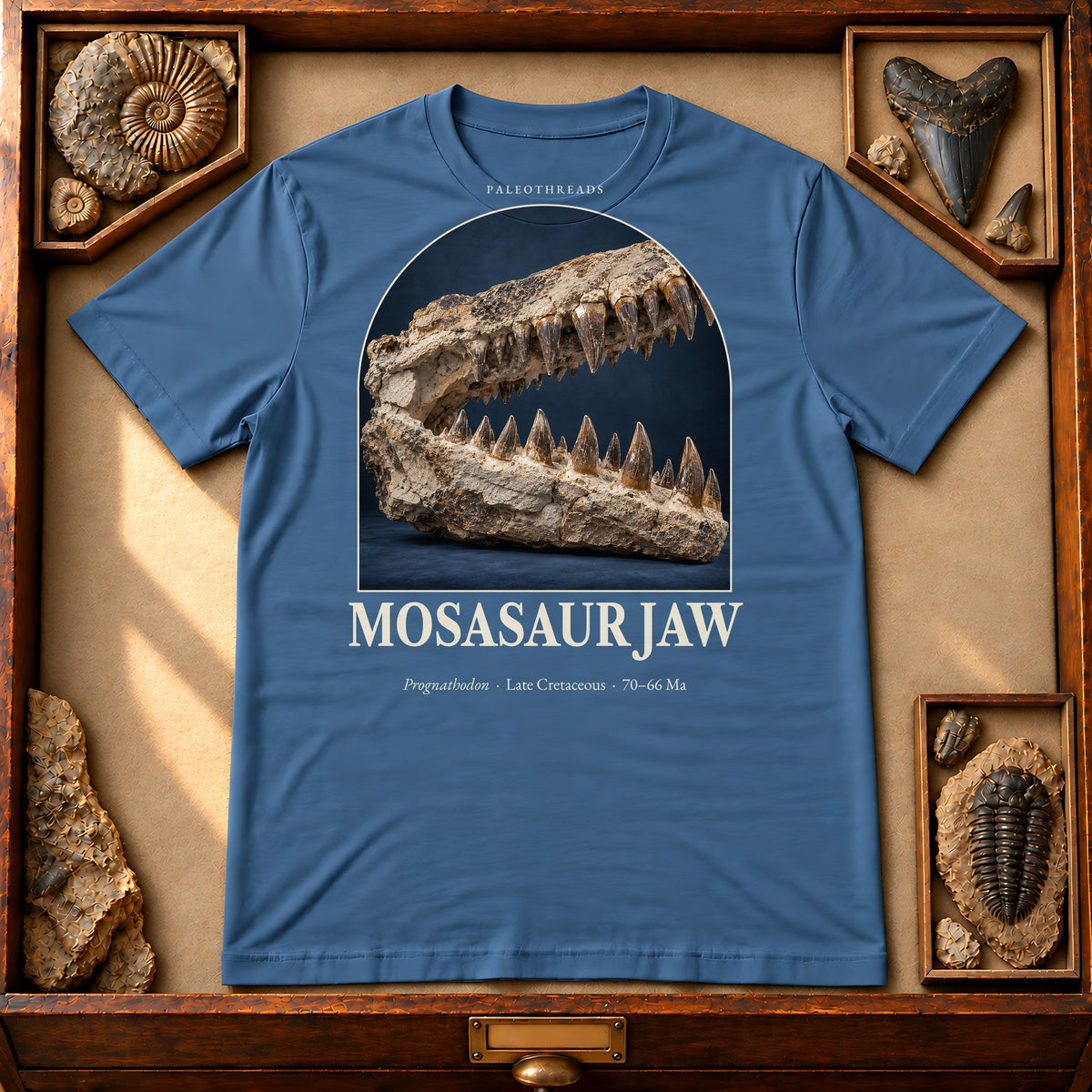 Mosasaur Jaw t-shirt flat lay – steel blue PaleoThreads paleo art tee in a museum fossil drawer