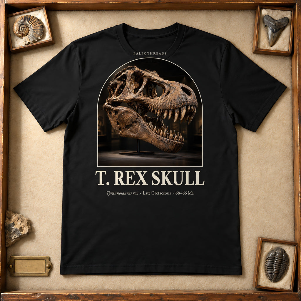 T. rex Skull t-shirt flat lay – black PaleoThreads paleo art tee in a museum fossil drawer
