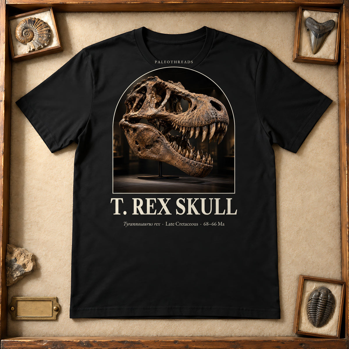 T. rex Skull t-shirt flat lay – black PaleoThreads paleo art tee in a museum fossil drawer