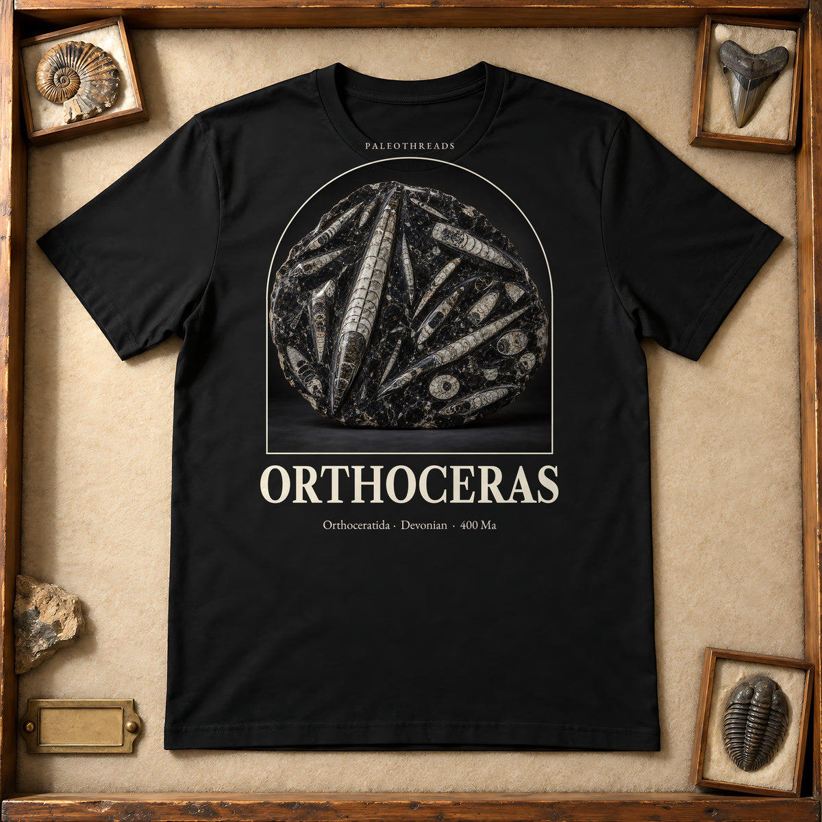 Orthoceras t-shirt flat lay – black PaleoThreads paleo art tee in a museum fossil drawer