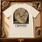 Crinoid t-shirt flat lay – soft cream PaleoThreads paleo art tee in a museum fossil drawer