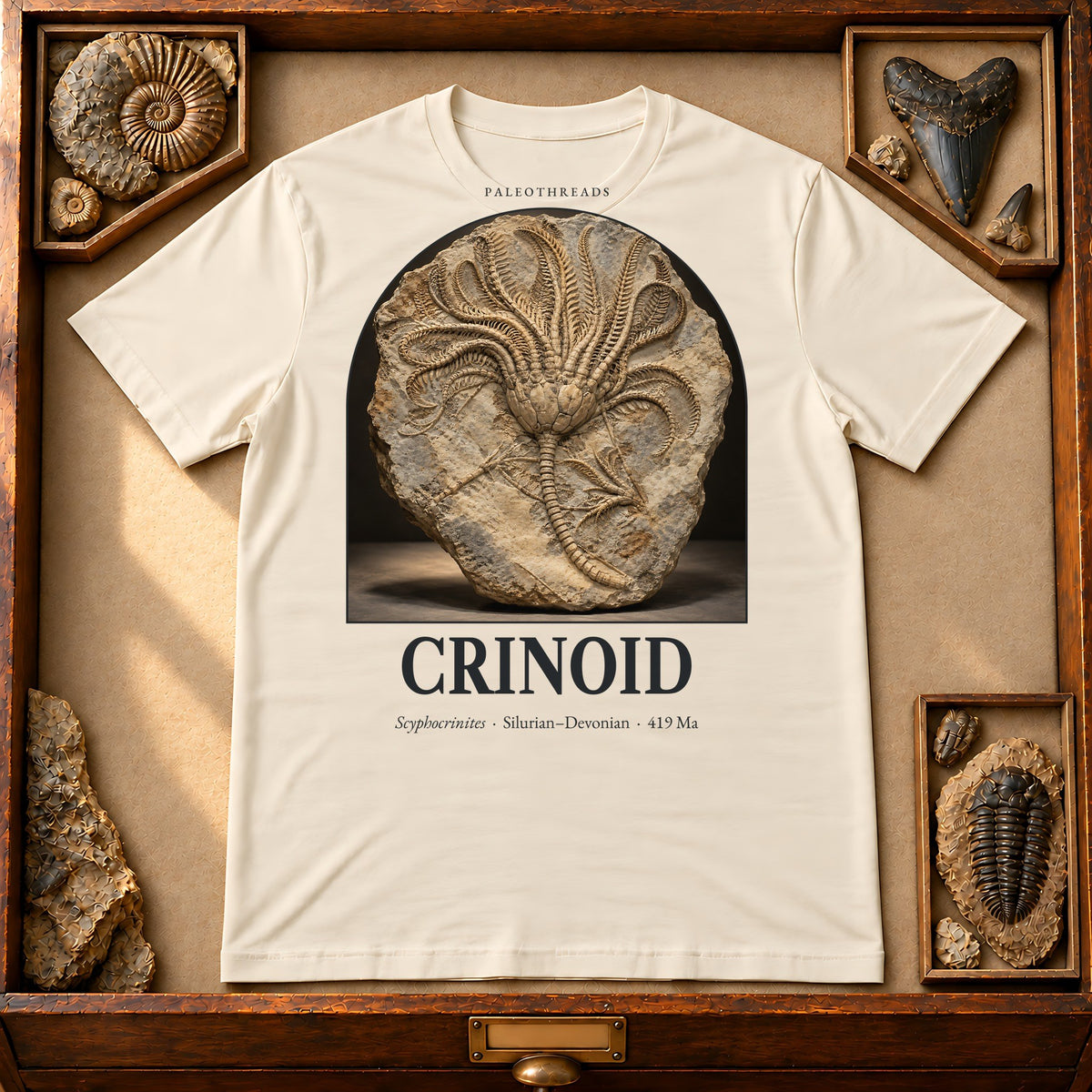 Crinoid t-shirt flat lay – soft cream PaleoThreads paleo art tee in a museum fossil drawer