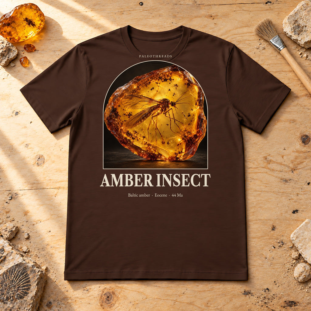 Amber Insect t-shirt flat lay – brown PaleoThreads paleo art tee on a fossil prep bench with amber