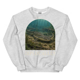 Diplocaulus Boomerang Head Crewneck Sweatshirt — Plate 147