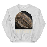 Trilobite Specimen Crewneck Sweatshirt — Plate 171