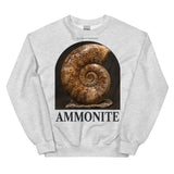 Ammonite Specimen Crewneck Sweatshirt — Plate 172