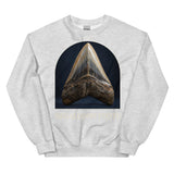 Megalodon Tooth Specimen Crewneck Sweatshirt — Plate 173