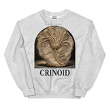 Crinoid Specimen Crewneck Sweatshirt — Plate 179