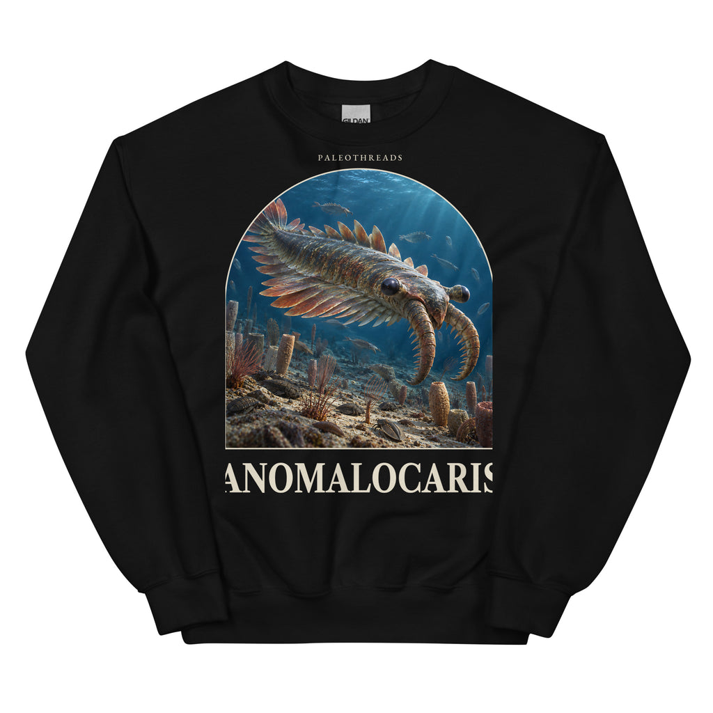 Anomalocaris crewneck sweatshirt in Black — Deep Time Atlas Plate 138, PaleoThreads