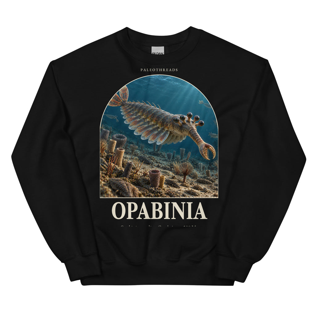 Opabinia crewneck sweatshirt in Black — Deep Time Atlas Plate 139, PaleoThreads