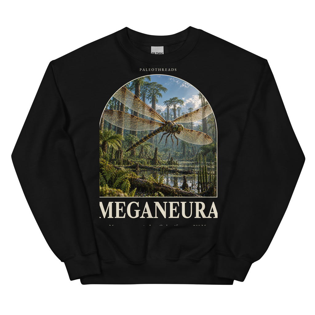 Meganeura crewneck sweatshirt in Black — Deep Time Atlas Plate 142, PaleoThreads