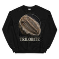 Trilobite specimen crewneck sweatshirt in Black — Deep Time Atlas Plate 171, PaleoThreads