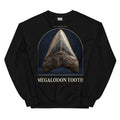 Megalodon tooth specimen crewneck sweatshirt in Black — Deep Time Atlas Plate 173, PaleoThreads