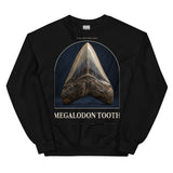 Megalodon Tooth Specimen Crewneck Sweatshirt — Plate 173