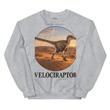 Velociraptor Gobi Dawn Crewneck Sweatshirt — Plate 005