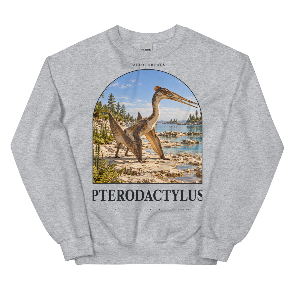 Pterodactylus crewneck sweatshirt in Sport Grey — Deep Time Atlas Plate 102, PaleoThreads