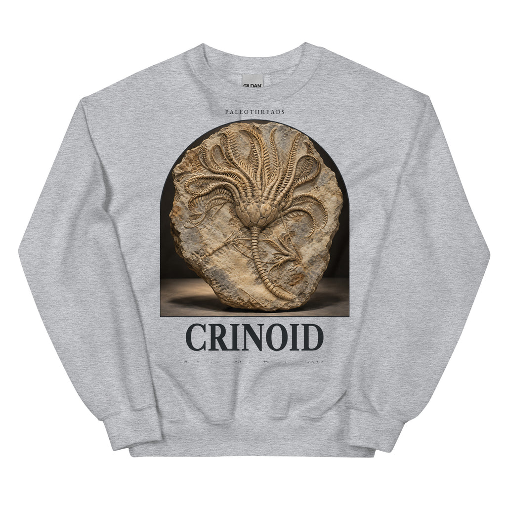 Crinoid specimen crewneck sweatshirt in Sport Grey — Deep Time Atlas Plate 179, PaleoThreads