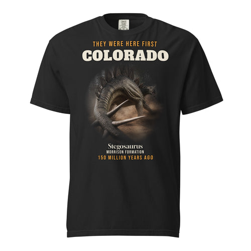 Colorado Stegosaurus Shirt | They Were Here First | Morrison Formation Dinosaur Tee