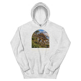 Dacentrurus Atlantic Shore Hoodie — Plate 092