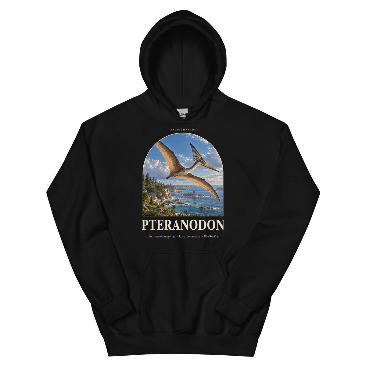 Pteranodon hoodie in Black — Deep Time Atlas Plate 097, PaleoThreads