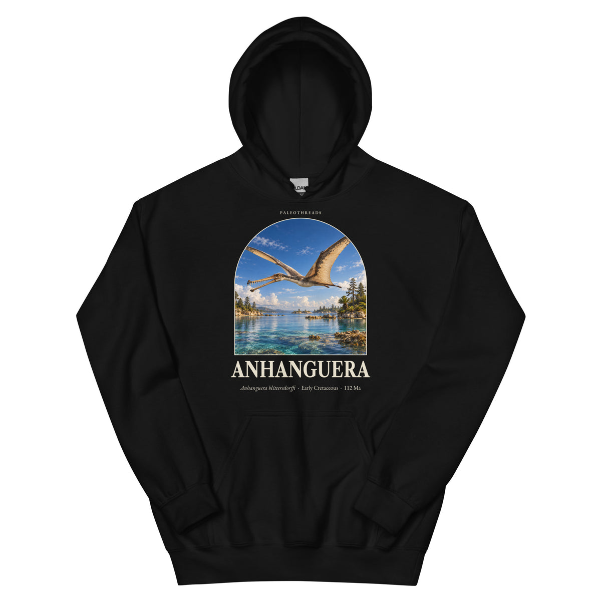 Anhanguera hoodie in Black — Deep Time Atlas Plate 104, PaleoThreads