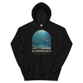 Elasmosaurus hoodie in Black — Deep Time Atlas Plate 107, PaleoThreads
