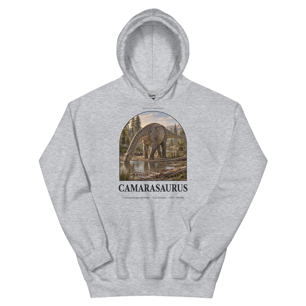 Camarasaurus hoodie in Sport Grey — Deep Time Atlas Plate 050, PaleoThreads