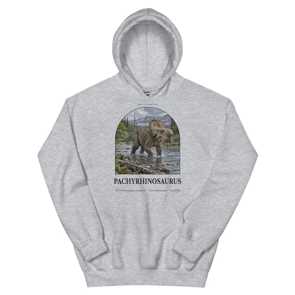 Pachyrhinosaurus hoodie in Sport Grey — Deep Time Atlas Plate 061, PaleoThreads