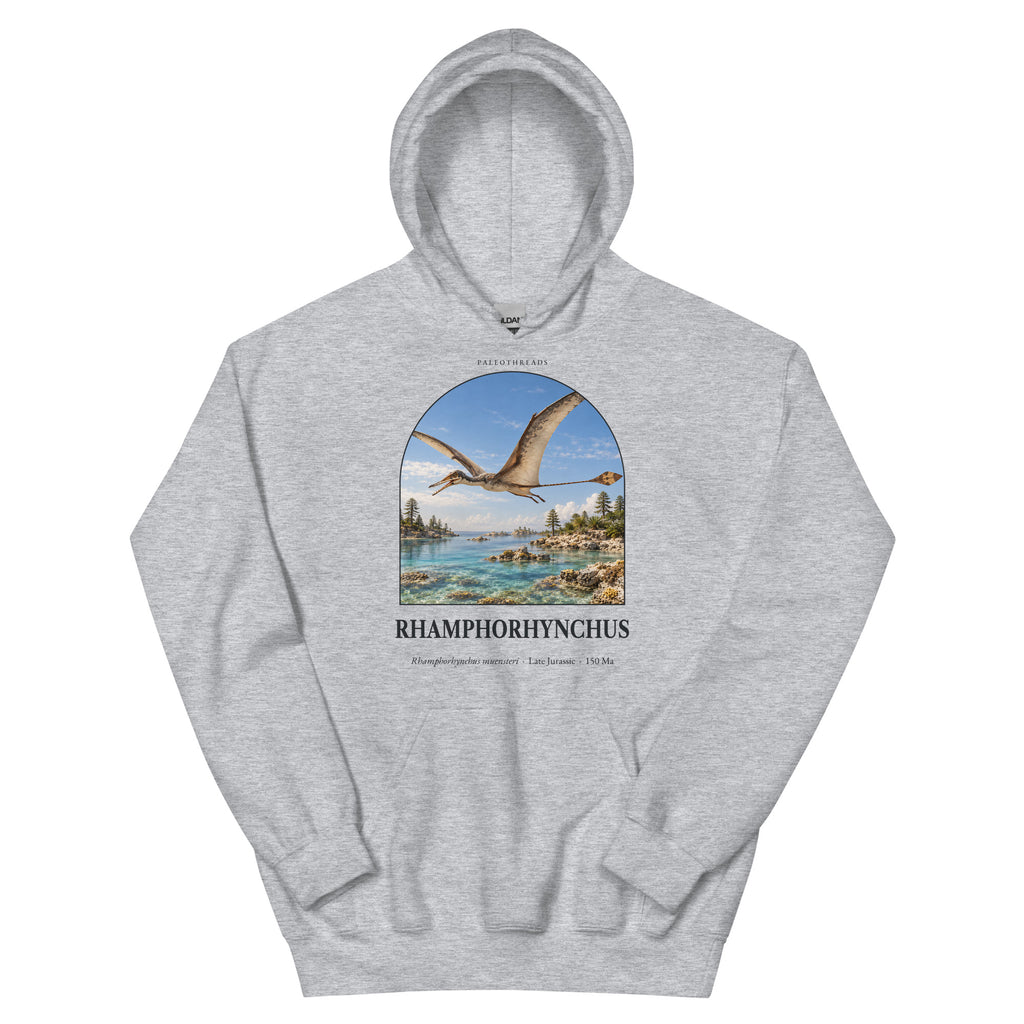 Rhamphorhynchus hoodie in Sport Grey — Deep Time Atlas Plate 098, PaleoThreads